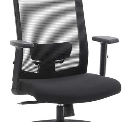 Mesh Bureaustoel - Verstelbare Lendensteun, Hoofdsteun en Armleuningen - Vergrendelbare hellingshoek tot 120° - De Vries Meubels